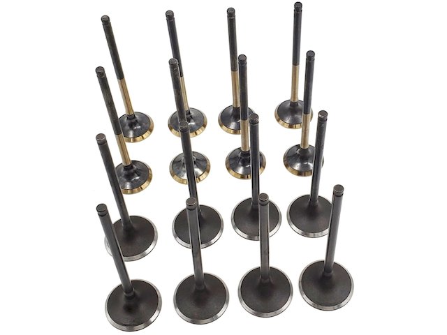 Replacement Intake Valve Kit