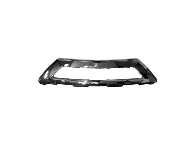 Action Crash Bumper Cover Grille Molding