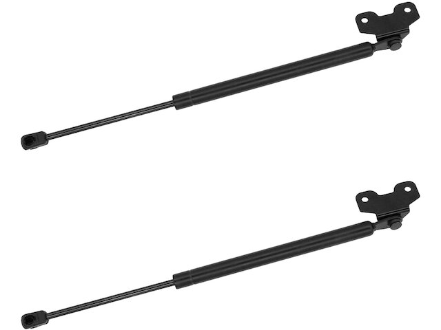 DIY Solutions Hood Strut Set