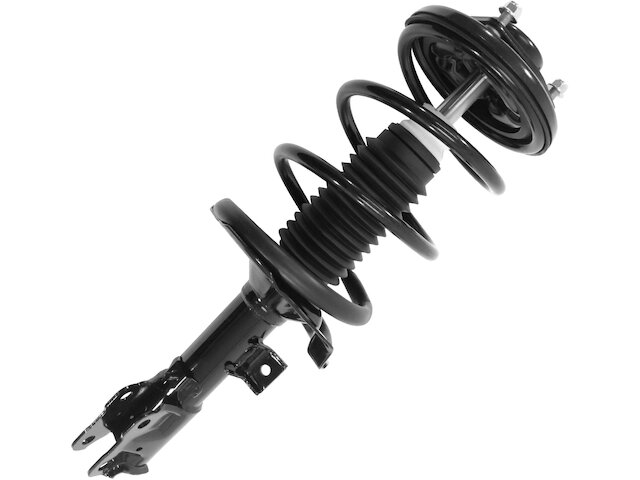 Unity Strut and Coil Spring Assembly