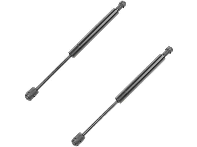 DIY Solutions Hood Strut Set