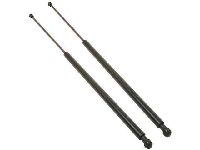 DIY Solutions Hood Strut Set