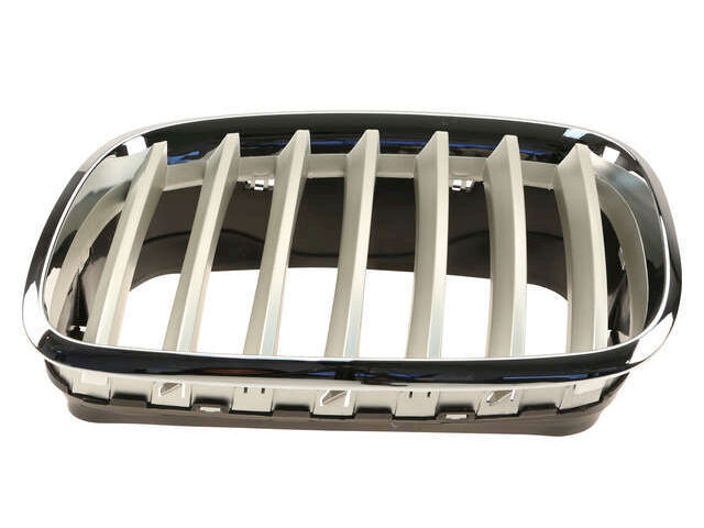 Aftermarket Grille Insert