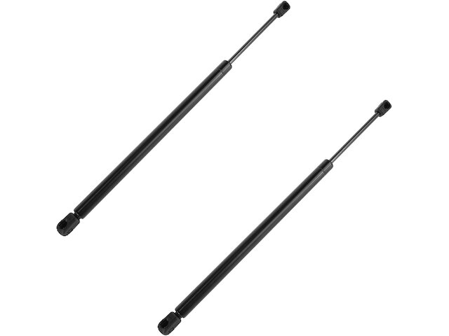 DIY Solutions Hood Strut Set