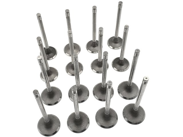 Replacement Exhaust Valve Kit
