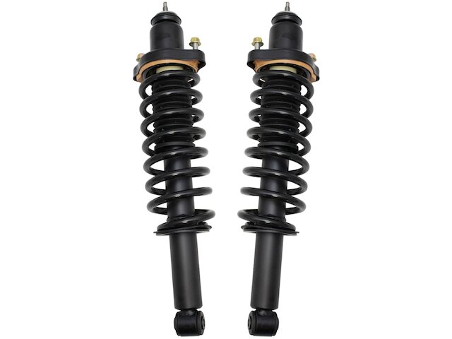 TRQ Shock Absorber and Coil Spring Assembly Set