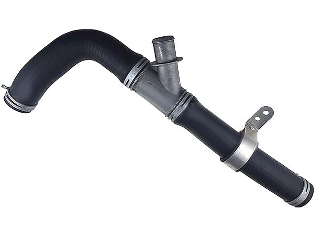 Dorman Radiator Hose