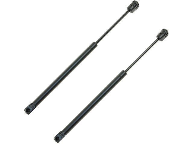 DIY Solutions Hood Strut Set