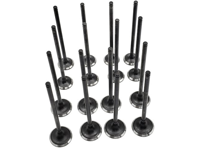 Replacement Exhaust Valve Kit