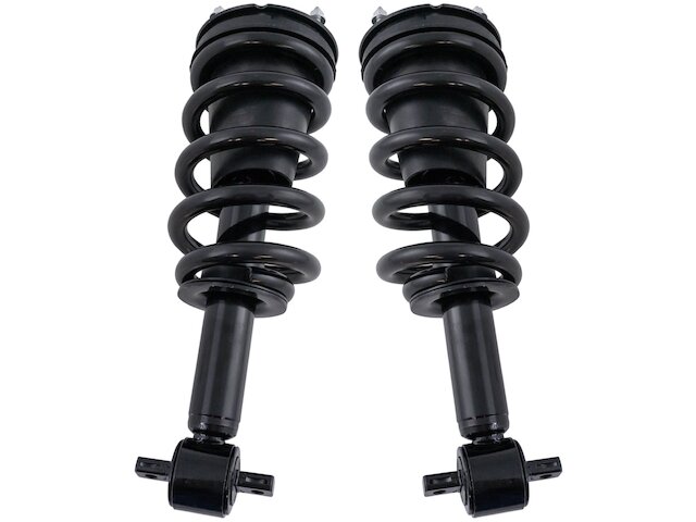 TRQ Shock Absorber and Coil Spring Assembly Set