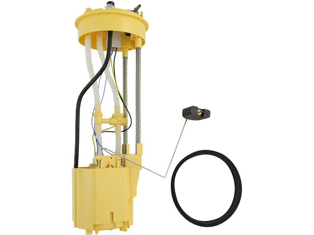 TRQ Fuel Pump and Sender Assembly