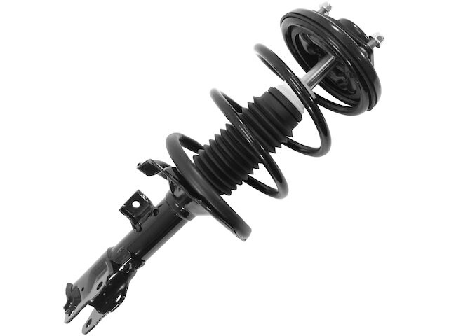 Unity Strut and Coil Spring Assembly